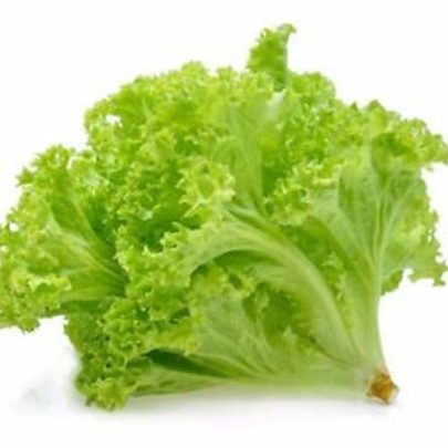 LETTUCE LEAF SEEDS