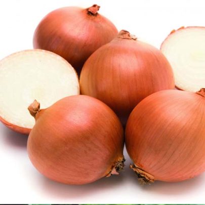 ONION SEED-CIPOLLA