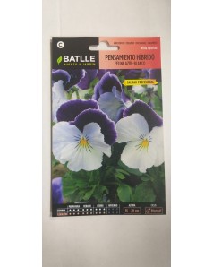 PENSAMIENTO HIBRIDO SEEDS - Image 2