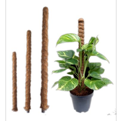 Plant Support Stick