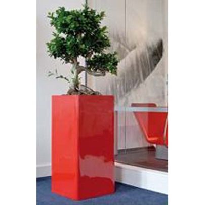 Clado QUADRO Range