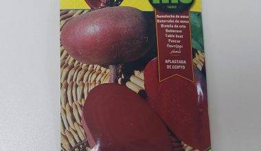 Beetroot De Mesa Detroit 2