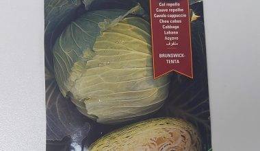 Cabbage Brunwick Tenta