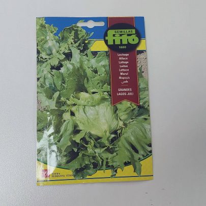Lettuce Great Lakes California