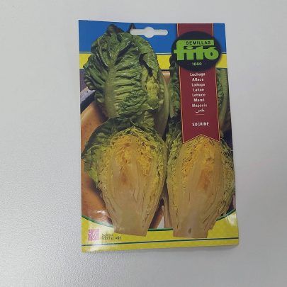 Lettuce Cogollitos De Tudela