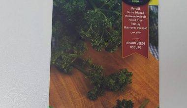 Parsely Rizado Verde