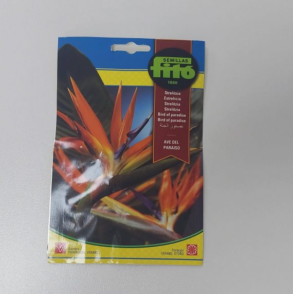 Bird of Paradise