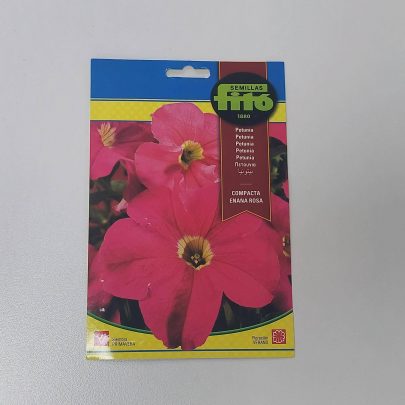 Petunia Dwarf Red