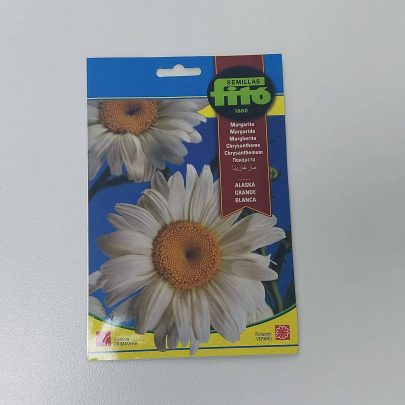 Chrisanthemum