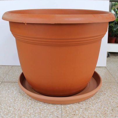 NEW GROUND POT SINGLE PIECE